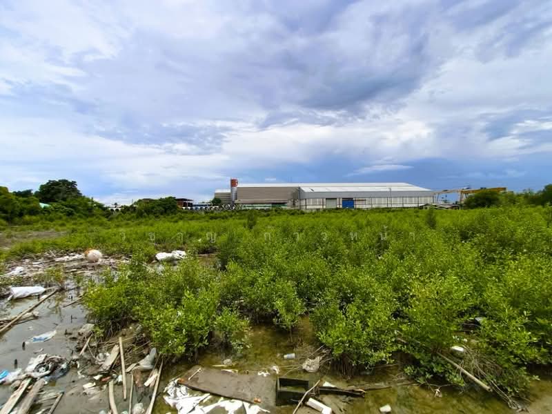 Land For Sale, Samut Prakan, Bang Pu, Muang Samut Prakarn, Samut Prakan, , 12,492 sqm, Land For Sale, by Wicharn Kaonah, 500209681 - DDproperty.com