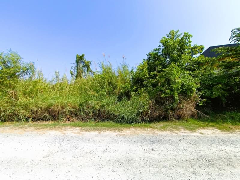 Land For Sale, Pathum Thani, Ra Haeng, Lat Lum Kaeo, Pathum Thani, , 13,848 sqm, Land For Sale, by Wicharn Kaonah, 500209702 - DDproperty.com