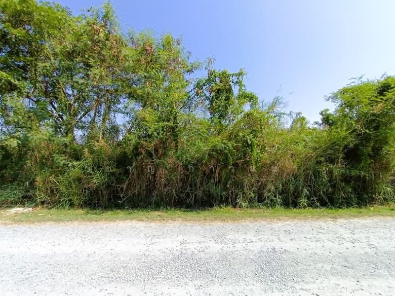 Land For Sale, Pathum Thani, Ra Haeng, Lat Lum Kaeo, Pathum Thani, , 13,848 sqm, Land For Sale, by Wicharn Kaonah, 500209702 - DDproperty.com