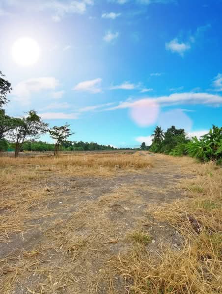 ที่ดินลาดกระบัง กรุงเทพมหานคร, กรุงเทพ, ทับยาว, ลาดกระบัง, กรุงเทพ, 21,744 ตร.ม., ที่ดิน ขาย, โดย The Best Property นิ, 500209707 - DDproperty.com