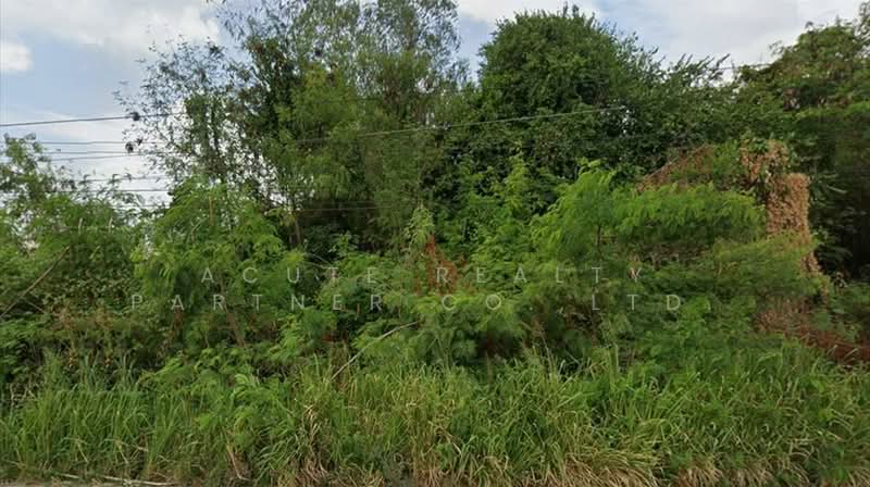 ขายที่ดินติดถนนใหญ่ 7 ไร่ มาบตาพุด ระยอง, ระยอง, ทางหลวงหมายเลข 3392, มาบตาพุด, เมืองระยอง, ระยอง, 11,424 ตร.ม., ที่ดิน ขาย, โดย Acute Realty Partner Co.,Ltd., 500209753 - DDproperty.com