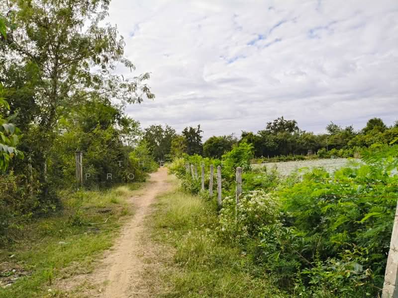 บ้านเดี่ยวพร้อมที่ดินแกใหญ่ สุรินทร์, Surin, Kae Yai, Muang Surin, Surin, 3 Bedrooms, 150 sqm, Single Detached House For Sale, by The Best Property รัก, 500209768 - DDproperty.com