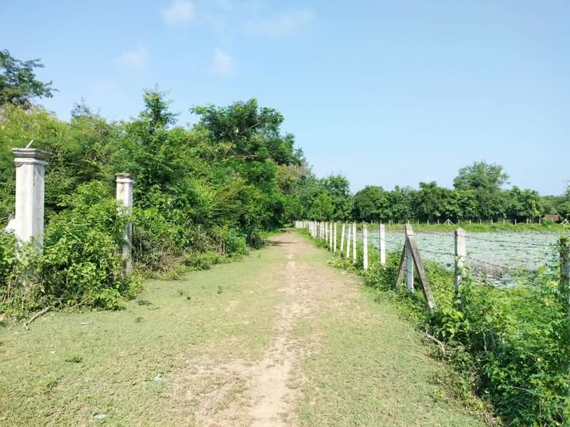 บ้านเดี่ยวพร้อมที่ดินแกใหญ่ สุรินทร์, Surin, Kae Yai, Muang Surin, Surin, 3 Bedrooms, 150 sqm, Single Detached House For Sale, by The Best Property รัก, 500209768 - DDproperty.com