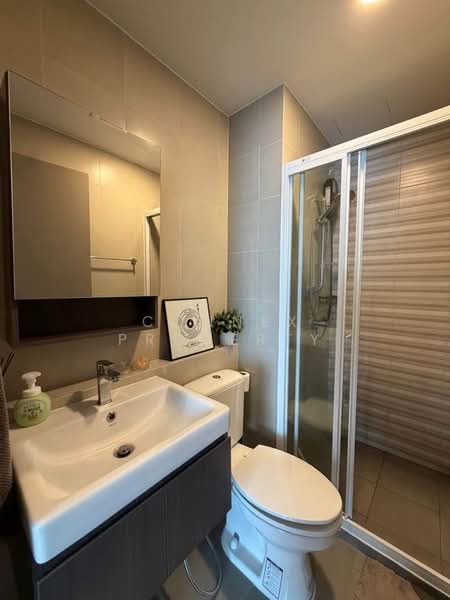 Aspire Sukhumvit-Rama 4, Bangkok, 4404 Rama 4 Road, Phra Kanong, Khlong Toei, Bangkok, 1 Bedroom, 31 sqm, Condo For Rent, by Connex Property, 500209769 - DDproperty.com