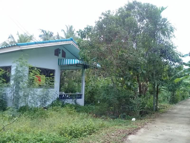 ขายบ้านชั้นเดียวพร้อมที่ดิน อ.ปากพนัง จ.นครศรีธรรมราช พร้อมเข้าอยู่ ทำเลดี ใกล้กรมชลประทาน, Nakhon Si Thammarat, Phak Phanang Fangtawantok, Pak Phanang, Nakhon Si Thammarat, 2 Bedrooms, 400 sqm, Single Detached House For Sale, by Jutanon Komoottanaruk, 500209790 - DDproperty.com