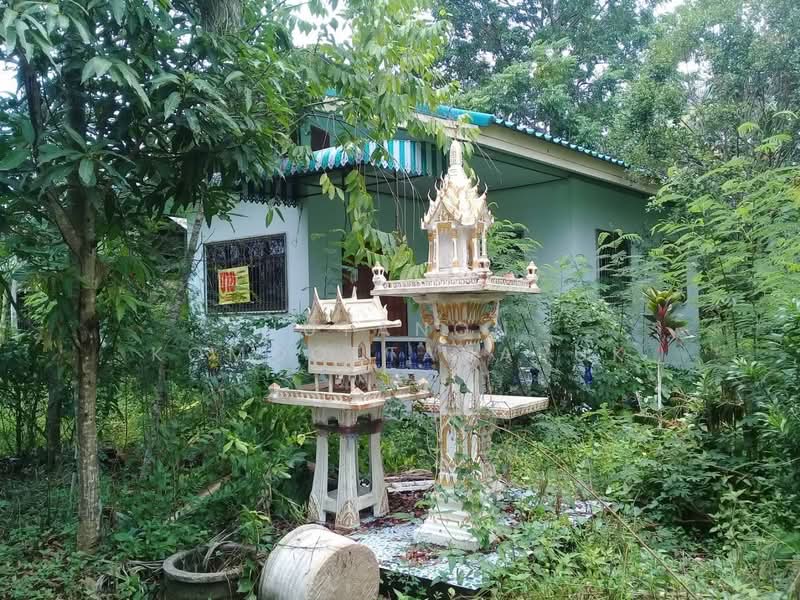 ขายบ้านชั้นเดียวพร้อมที่ดิน อ.ปากพนัง จ.นครศรีธรรมราช พร้อมเข้าอยู่ ทำเลดี ใกล้กรมชลประทาน, Nakhon Si Thammarat, Phak Phanang Fangtawantok, Pak Phanang, Nakhon Si Thammarat, 2 Bedrooms, 400 sqm, Single Detached House For Sale, by Jutanon Komoottanaruk, 500209790 - DDproperty.com