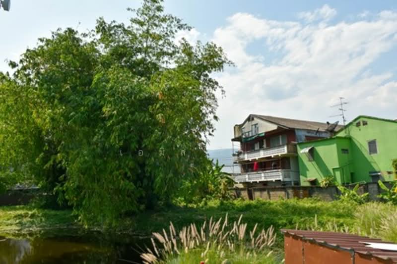 Chang Phuak, Chiang Mai, Chang Phuak, Muang Chiang Mai, Chiang Mai, , 10,000 sqm, Land For Sale, by เอมิล ไวซ์, 500209797 - DDproperty.com