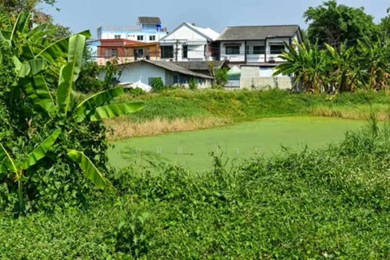 Chang Phueak, เชียงใหม่, ช้างเผือก, เมืองเชียงใหม่, เชียงใหม่, 10,000 ตร.ม., ที่ดิน ขาย, โดย เอมิล ไวซ์, 500209797 - DDproperty.com