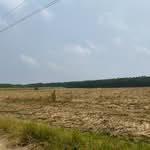 ที่ดินบ่อทอง ชลบุรี, ชลบุรี