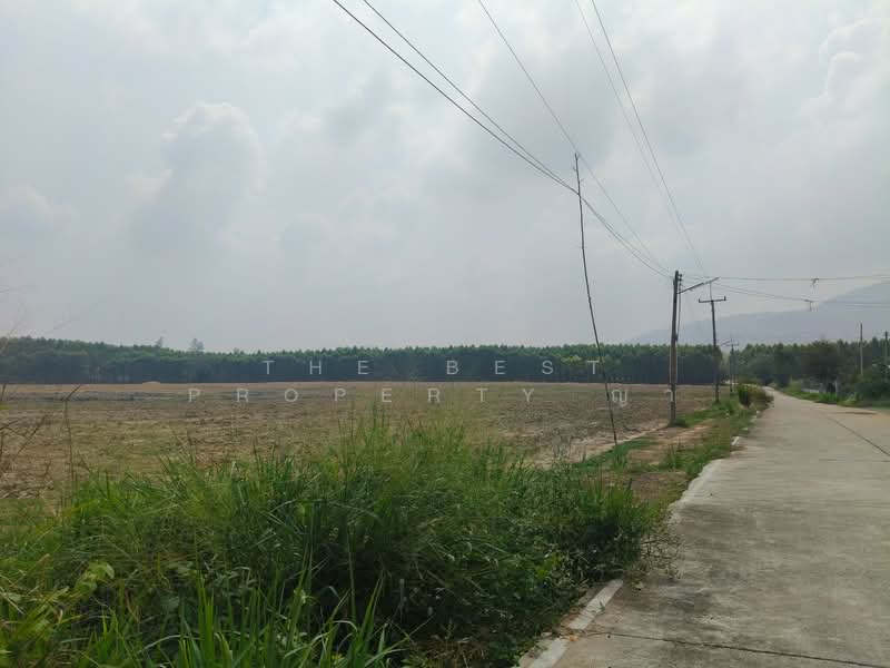 For Sale - ที่ดินบ่อทอง ชลบุรี, Chon Buri (Pattaya)