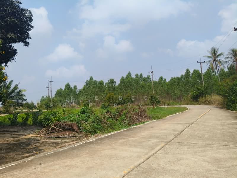 For Sale - ที่ดินบ่อทอง ชลบุรี, Chon Buri (Pattaya)