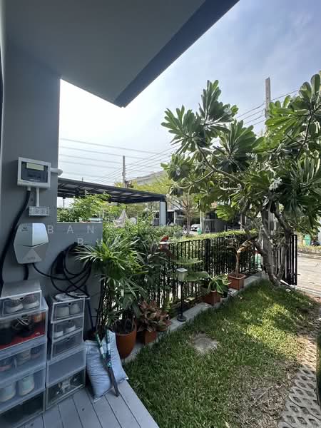 Eco Space Bangna-Wongwaen : อีโค สเปซ บางนา - วงแหวน, สมุทรปราการ, 222 ถนนกาญจนาภิเษก, บางแก้ว, บางพลี, สมุทรปราการ, 180 ตร.ม., ทาวน์เฮ้าส์ ให้เช่า, โดย BANKLIONAIRE BLN ASSET, 500209871 - DDproperty.com