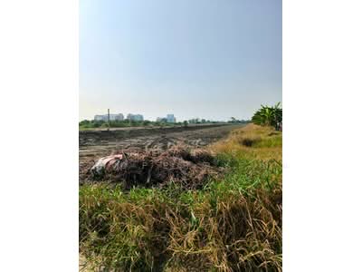 ขาย - ที่ดินบางพลี สมุทรปราการ, สมุทรปราการ