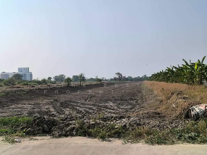 ที่ดินบางพลี สมุทรปราการ, Samut Prakan, Bang Pla, Bang Plee, Samut Prakan, , 12,380 sqm, Land For Sale, by The Best Property ปุ๋ม, 500209927 - DDproperty.com