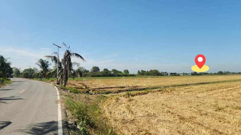 For Sale - ขายบ้าน บางเลน นครปฐม | บ้านพร้อมที่ดิน 450 ตร.วา ทำสวนต้นไม้ มีรายได้จริง, Nakhon Pathom