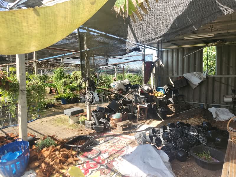 ขาย - ขายบ้าน บางเลน นครปฐม | บ้านพร้อมที่ดิน 450 ตร.วา ทำสวนต้นไม้ มีรายได้จริง, นครปฐม