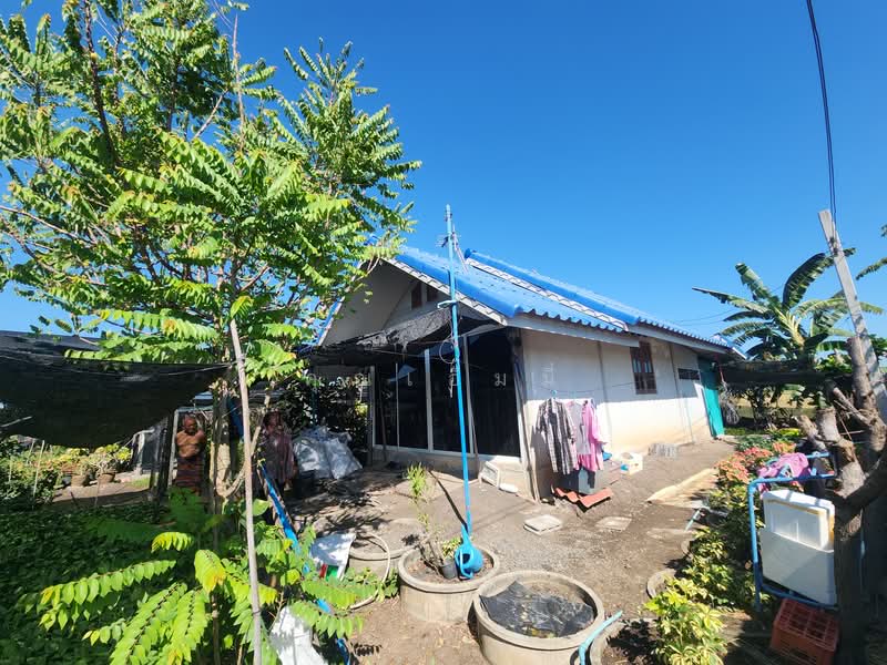 For Sale - ขายบ้าน บางเลน นครปฐม | บ้านพร้อมที่ดิน 450 ตร.วา ทำสวนต้นไม้ มีรายได้จริง, Nakhon Pathom