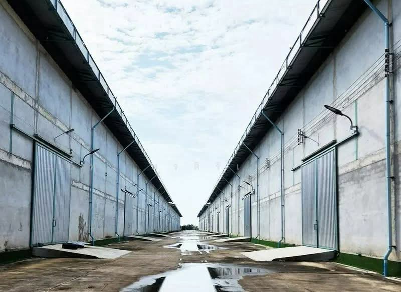 บางเสาธง, Samut Prakan, Bang Sao Thong, Bang Sao Thong, Samut Prakan, , 4,500 sqm, Warehouse/Factory For Rent, by ณภัทร พรสิริเมธากุล, 500209976 - DDproperty.com