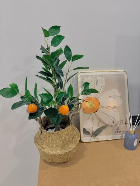 Karnkanok Ville 12 : กาญจน์กนกวิลล์ 12, เชียงใหม่, สันโป่ง, แม่ริม, เชียงใหม่, 155 ตร.ม., บ้านเดี่ยว ให้เช่า, โดย Shori Asset Group Co., Ltd., 500209987 - DDproperty.com