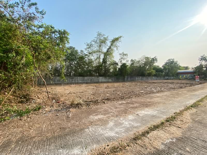 For Sale - ที่ดินศิลา ขอนแก่น, Khon Kaen