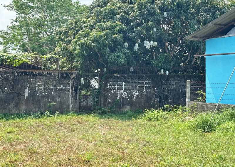 ที่ดินบางกะจะ จันทบุรี, Chanthaburi, Bang Kacha, Muang Chanthaburi, Chanthaburi, , 196 sqm, Land For Sale, by The Best Property หนึ่ง, 500210034 - DDproperty.com