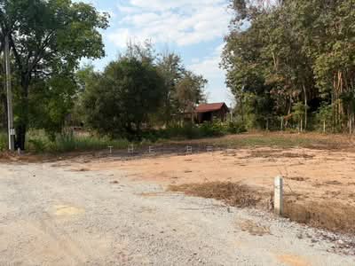 ขาย - ที่ดินบ้านค่าย ระยอง, ระยอง