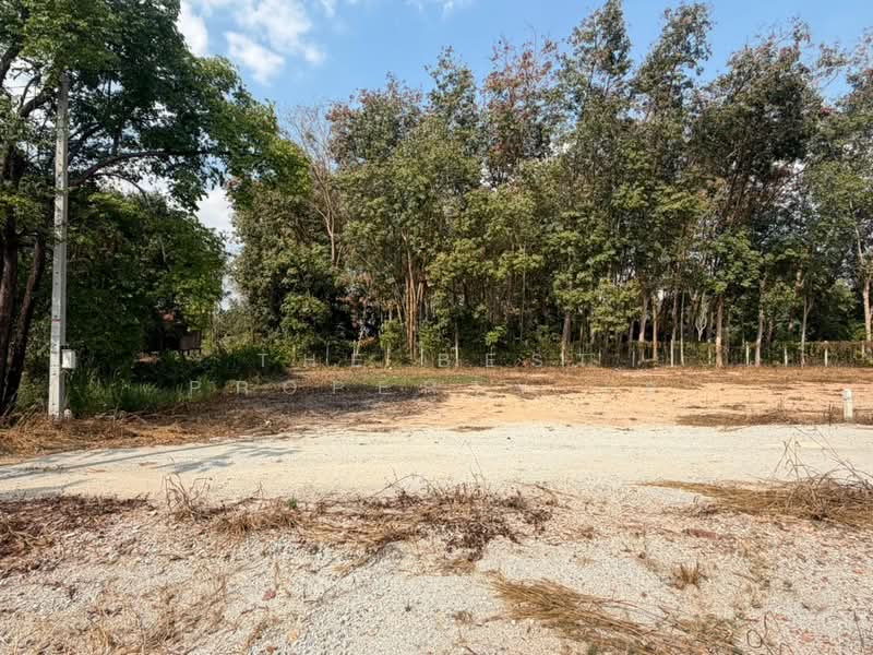 For Sale - ที่ดินบ้านค่าย ระยอง, Rayong