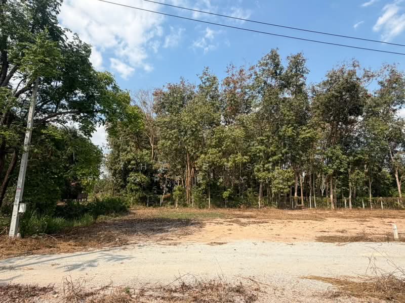 ขาย - ที่ดินบ้านค่าย ระยอง, ระยอง