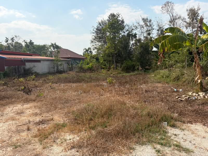 For Sale - ที่ดินบ้านค่าย ระยอง, Rayong