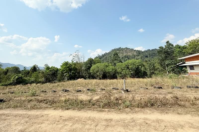 ขาย - ที่ดินท่าใหม่ จันทบุรี, จันทบุรี