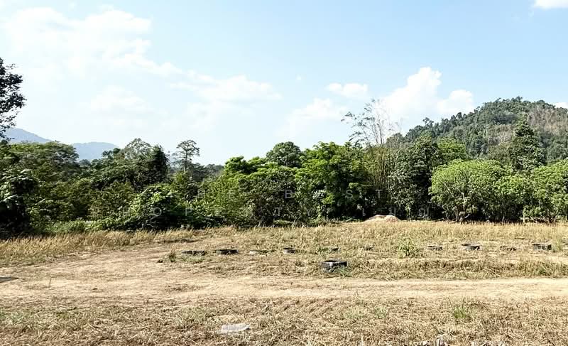 ที่ดินท่าใหม่ จันทบุรี, Chanthaburi, Khao Wua, Tha Mai, Chanthaburi, , 1,396 sqm, Land For Sale, by The Best Property เมญ่า, 500210091 - DDproperty.com