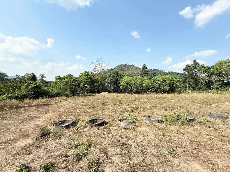 ที่ดินท่าใหม่ จันทบุรี, Chanthaburi, Khao Wua, Tha Mai, Chanthaburi, , 1,396 sqm, Land For Sale, by The Best Property เมญ่า, 500210091 - DDproperty.com