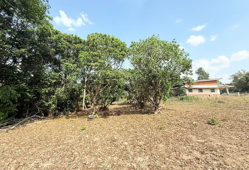 ที่ดินท่าใหม่ จันทบุรี, Chanthaburi, Khao Wua, Tha Mai, Chanthaburi, , 1,396 sqm, Land For Sale, by The Best Property เมญ่า, 500210091 - DDproperty.com