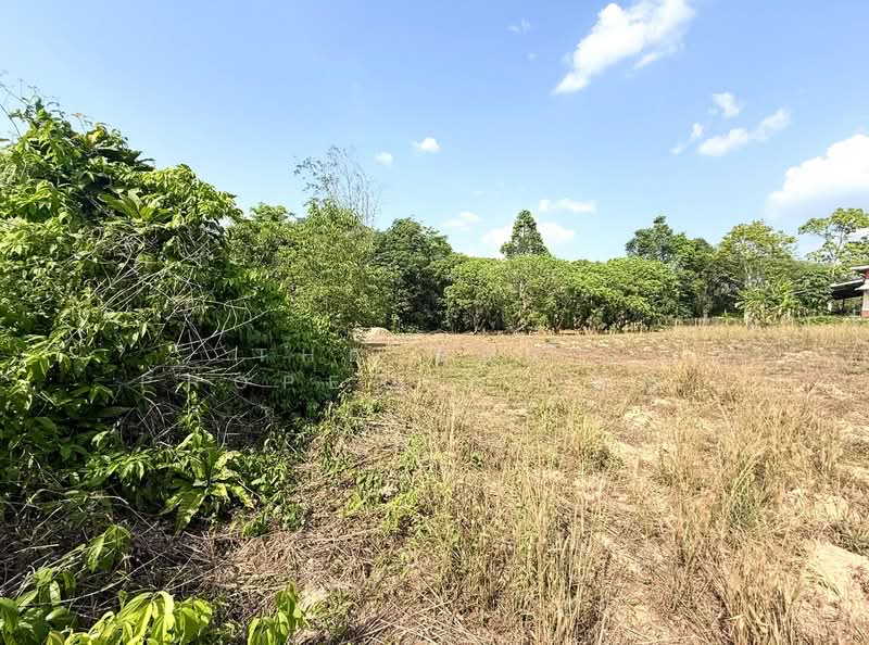 ที่ดินท่าใหม่ จันทบุรี, Chanthaburi, Khao Wua, Tha Mai, Chanthaburi, , 1,396 sqm, Land For Sale, by The Best Property เมญ่า, 500210091 - DDproperty.com