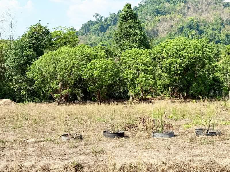 ขาย - ที่ดินท่าใหม่ จันทบุรี, จันทบุรี