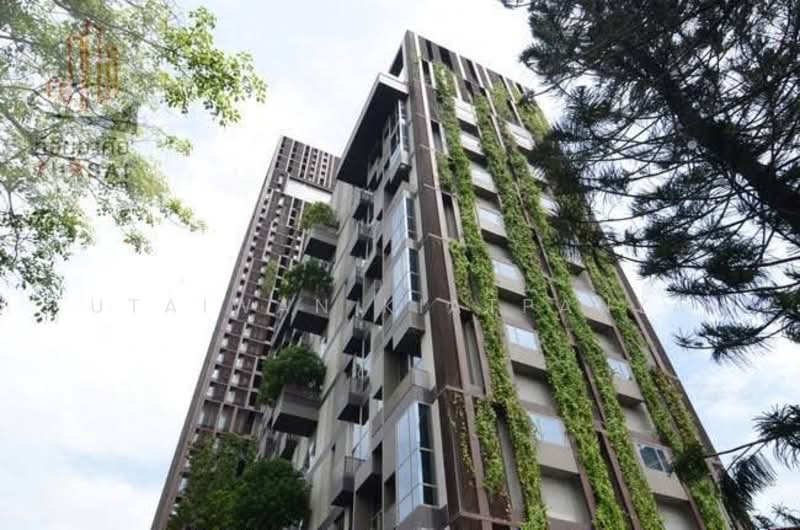 ASHTON Morph 38, Bangkok, 88 Soi Sukhumvit 38, Phra Kanong, Khlong Toei, Bangkok, 2 Bedrooms, 110 sqm, Condo For Rent, by Utaiwan Kiatpanya, 500210110 - DDproperty.com