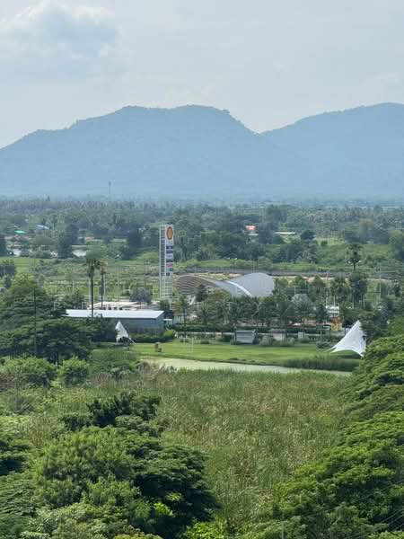 BLU Diamond Cha-am-Hua Hin : บลู ไดมอนด์ ชะอำ-หัวหิน, เพชรบุรี, 799 เพชรเกษม, ชะอำ, ชะอำ, เพชรบุรี, 31 ตร.ม., คอนโด ขาย, โดย The Best Property  อุ๊, 500210155 - DDproperty.com