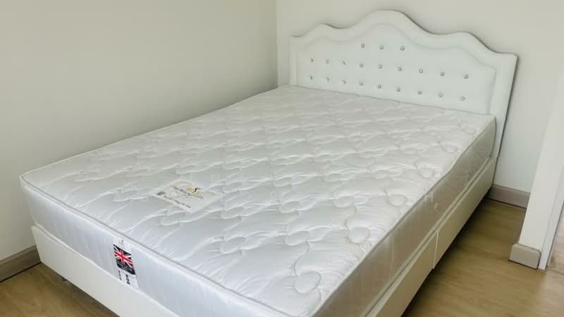 The Parkland Bangna, Bangkok, Soi Bangna-Trat 37 Bangna-Trat Road, Bang Na, Bang Na, Bangkok, 1 Bedroom, 76 sqm, Condo For Rent, by Intouch Abhinorasaeth, 500210387 - DDproperty.com