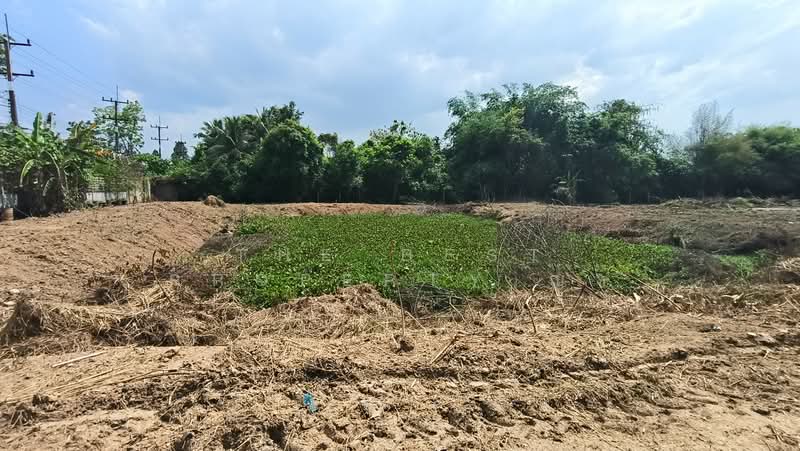 For Sale - ที่ดินพนัสนิคม ชลบุรี, Chon Buri (Pattaya)