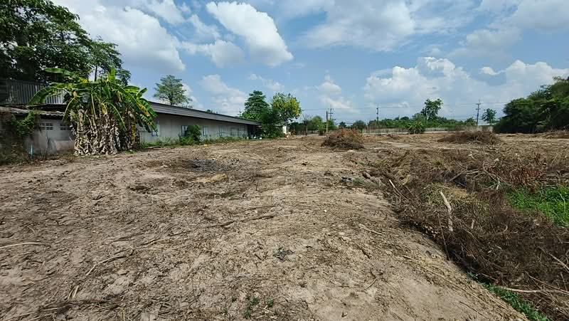 For Sale - ที่ดินพนัสนิคม ชลบุรี, Chon Buri (Pattaya)