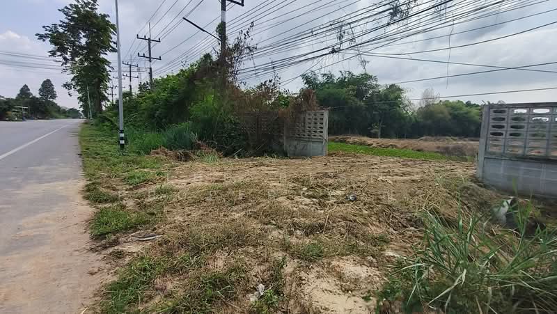 For Sale - ที่ดินพนัสนิคม ชลบุรี, Chon Buri (Pattaya)