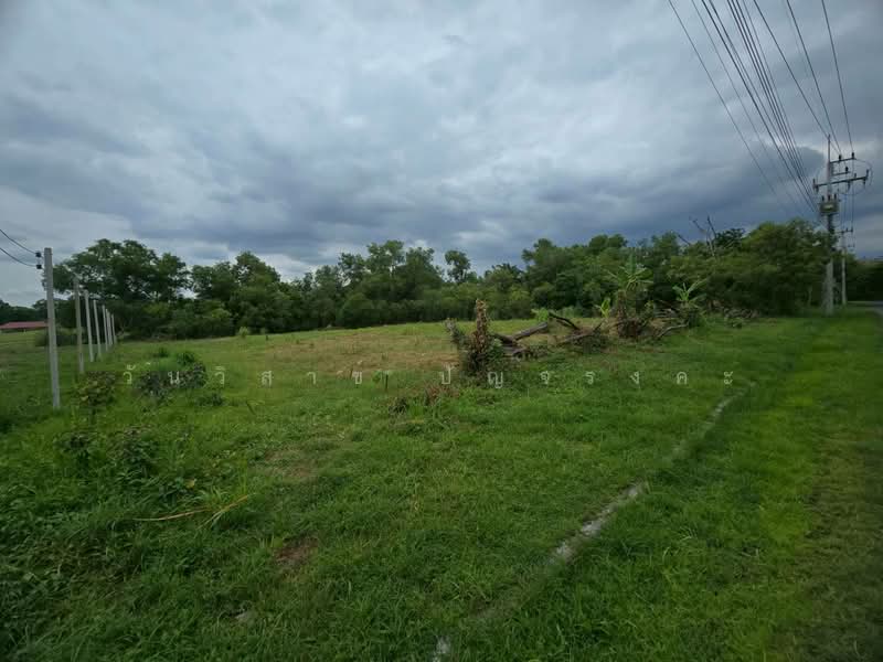 WPDD-109 ขายที่ดินเปล่า ในสนามกอล์ฟไพน์เฮิร์สท ถนนพหลโยธิน เนื้อที่ 395 ตรว., ปทุมธานี, คลองหนึ่ง, คลองหลวง, ปทุมธานี, 1,580 ตร.ม., ที่ดิน ขาย, โดย วันวิสาข์ ปัญจรงคะ, 500210439 - DDproperty.com