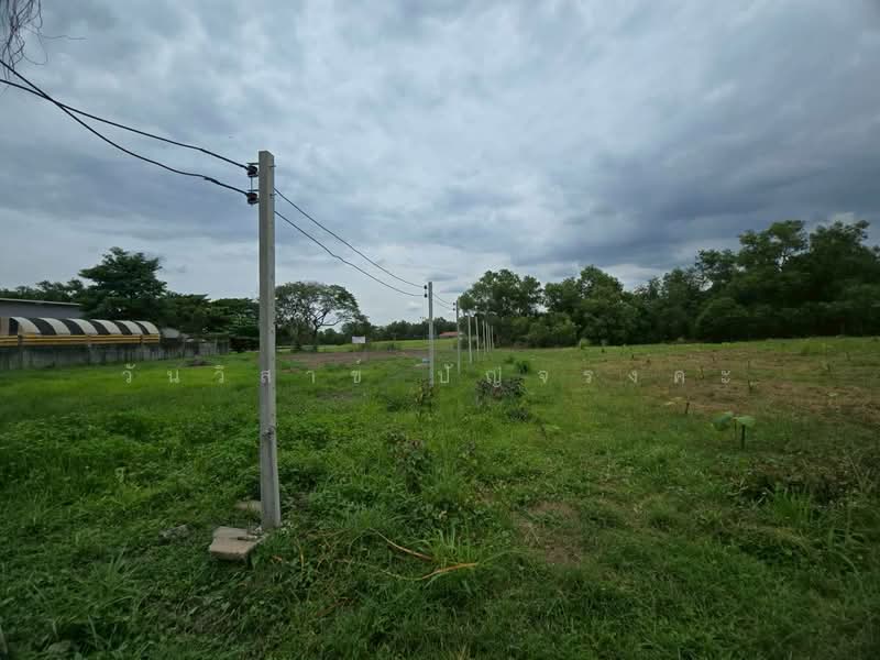 WPDD-109 ขายที่ดินเปล่า ในสนามกอล์ฟไพน์เฮิร์สท ถนนพหลโยธิน เนื้อที่ 395 ตรว., Pathum Thani, Khlong Nung, Khlong Luang, Pathum Thani, , 1,580 sqm, Land For Sale, by วันวิสาข์ ปัญจรงคะ, 500210439 - DDproperty.com