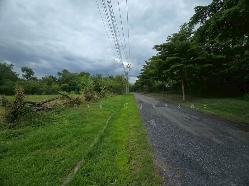 WPDD-109 ขายที่ดินเปล่า ในสนามกอล์ฟไพน์เฮิร์สท ถนนพหลโยธิน เนื้อที่ 395 ตรว., ปทุมธานี, คลองหนึ่ง, คลองหลวง, ปทุมธานี, 1,580 ตร.ม., ที่ดิน ขาย, โดย วันวิสาข์ ปัญจรงคะ, 500210439 - DDproperty.com