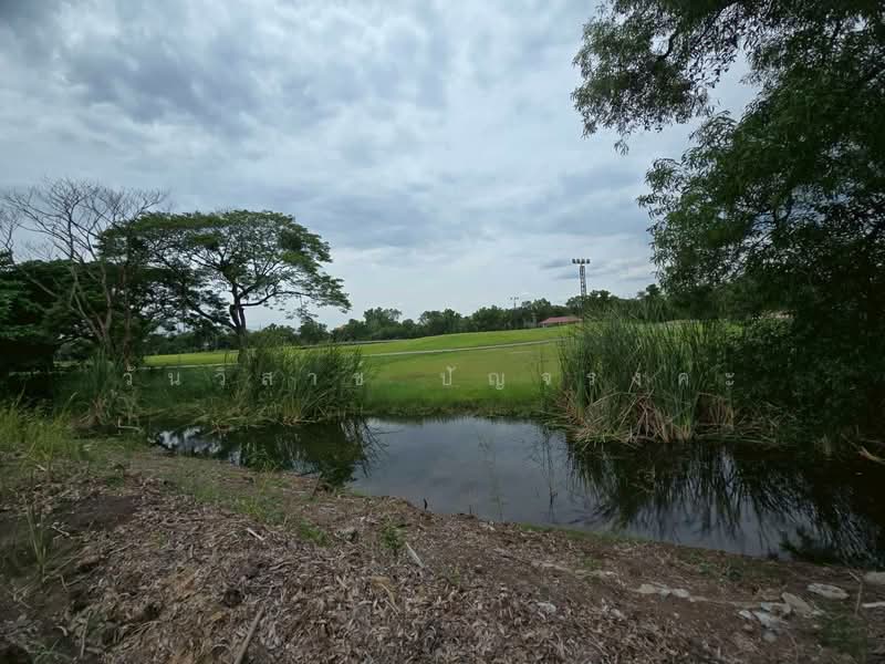 WPDD-109 ขายที่ดินเปล่า ในสนามกอล์ฟไพน์เฮิร์สท ถนนพหลโยธิน เนื้อที่ 395 ตรว., Pathum Thani, Khlong Nung, Khlong Luang, Pathum Thani, , 1,580 sqm, Land For Sale, by วันวิสาข์ ปัญจรงคะ, 500210439 - DDproperty.com