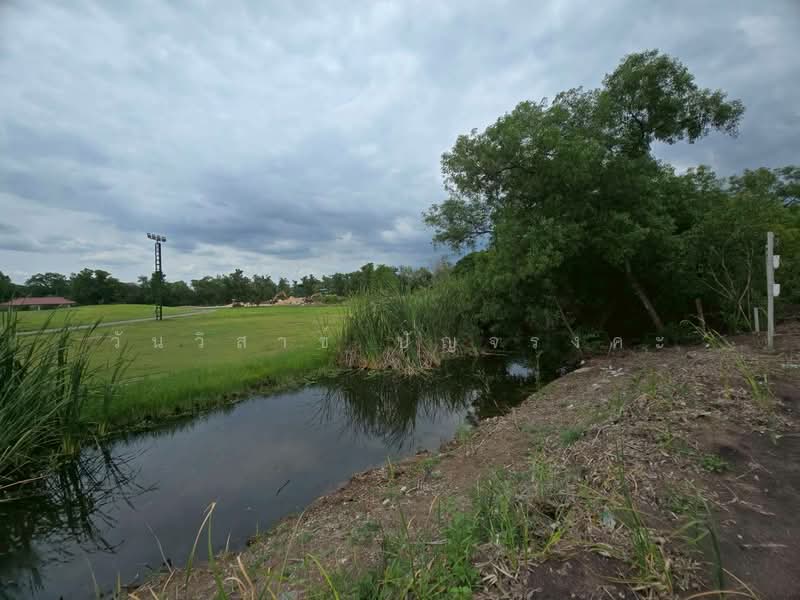 WPDD-109 ขายที่ดินเปล่า ในสนามกอล์ฟไพน์เฮิร์สท ถนนพหลโยธิน เนื้อที่ 395 ตรว., ปทุมธานี, คลองหนึ่ง, คลองหลวง, ปทุมธานี, 1,580 ตร.ม., ที่ดิน ขาย, โดย วันวิสาข์ ปัญจรงคะ, 500210439 - DDproperty.com