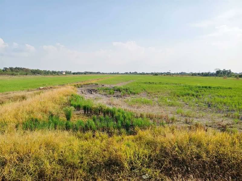 ขาย - ที่ดินเปล่า 13 ไร่ 156 ตร.ว. ที่ดินติดถนนหมายเลข3014 ที่ดินถนนปทุมธานี-บางเลน ลาดหลุมแก้ว ปทุมธานี, ปทุมธานี