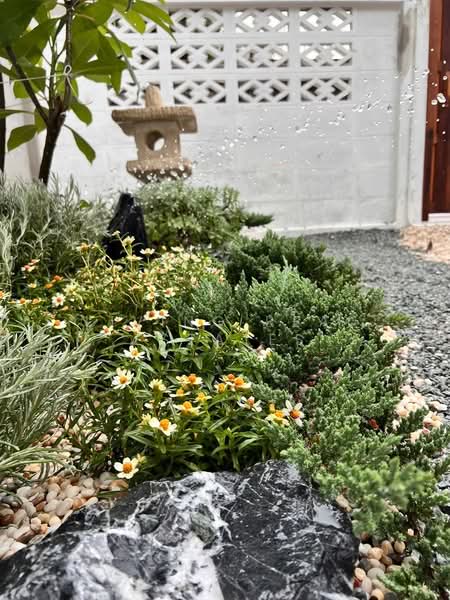 บ้าน แถวจรัญ 13- ราชพฤกษ์, กรุงเทพ, บางแวก, ภาษีเจริญ, กรุงเทพ, 65 ตร.ม., บ้านเดี่ยว ให้เช่า, โดย Living Real Estates, 500210523 - DDproperty.com