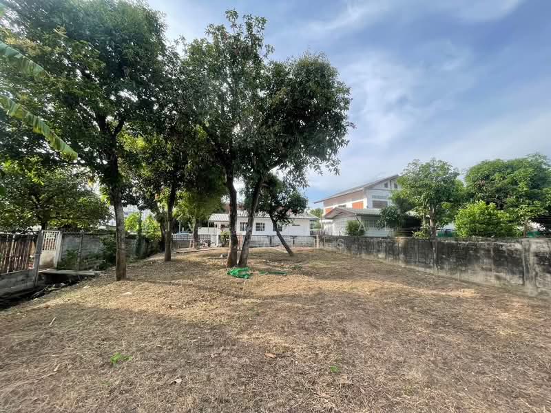 บ้าน แถวจรัญ 13- ราชพฤกษ์, Bangkok, Bang Waek, Phasi Charoen, Bangkok, 1 Bedroom, 65 sqm, Single Detached House For Rent, by Living Real Estates, 500210523 - DDproperty.com