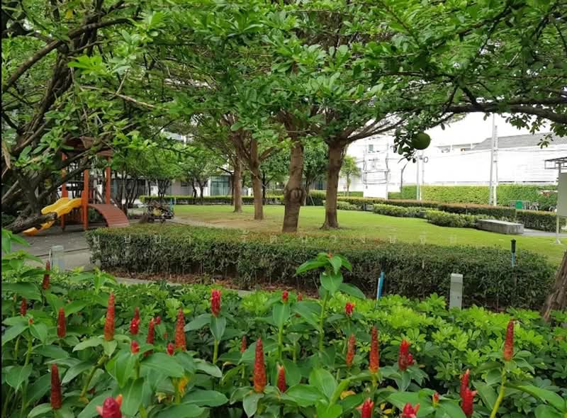 Flora Wongsawang, Nonthaburi, Krungthep-Nonthaburi Road, Bang Khen, Muang Nonthaburi, Nonthaburi, 3 Bedrooms, 178 sqm, Townhouse For Rent, by บุษบา รัตนวงษ์ชัย, 500210555 - DDproperty.com